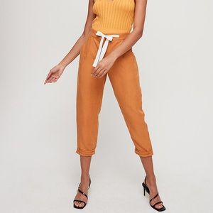 NWOT Aritzia Wilfred Allant Pants